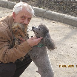 Igor, �����-���������, 75 ���