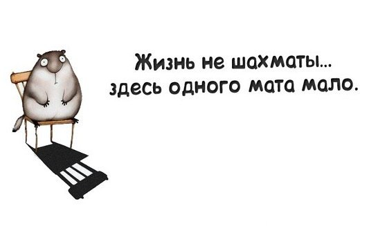   - 5  2016  17:30