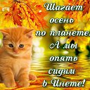 ���� �������, ���������� - ��������� 11 ������ 2015 � ������ ������ ��������
