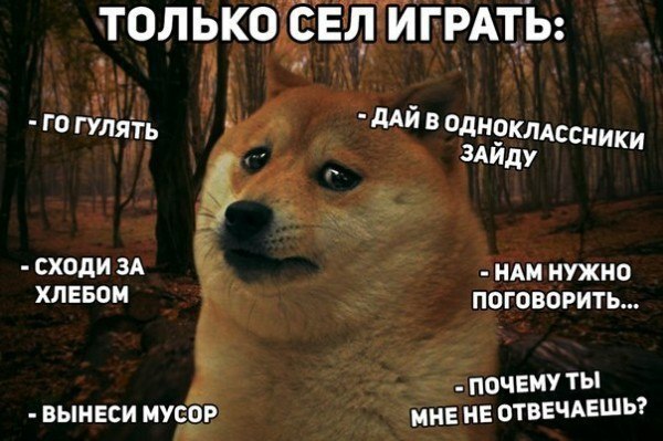 ☆   ☆ - 2  2016  13:37