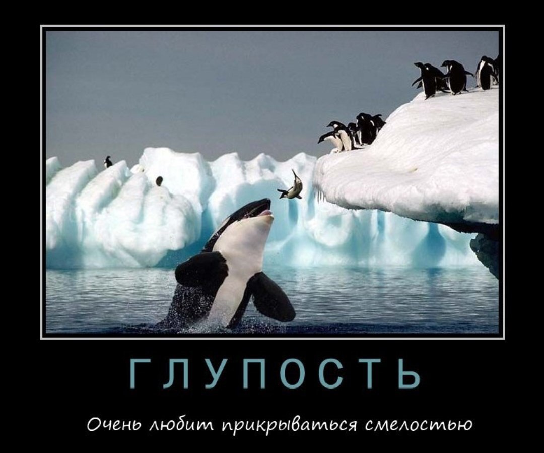 .https://fotostrana.ru/away?to=/sl/kxC2 - 17  2016  00:42