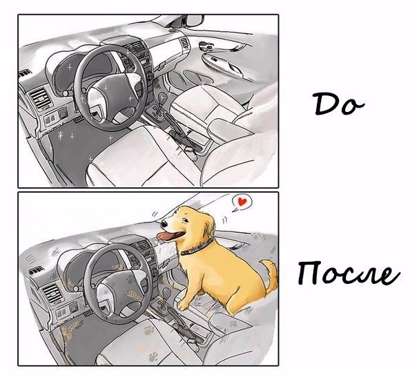      - 6