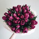 ���� �����, ������, 51 ��� - ��������� 8 ����� 2016 � ������ ������ ��������