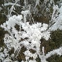 ���� ����, ������, 61 ��� - ��������� 8 ������ 2015 � ������ ������� ������� �����