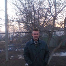 ������, ����������, 51 ���