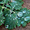 ������� 2015 �� ������� �����ܻ