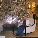 ���� �����, �����������, 58 ��� - ��������� 3 ������� 2015 � ������ ���� ����������