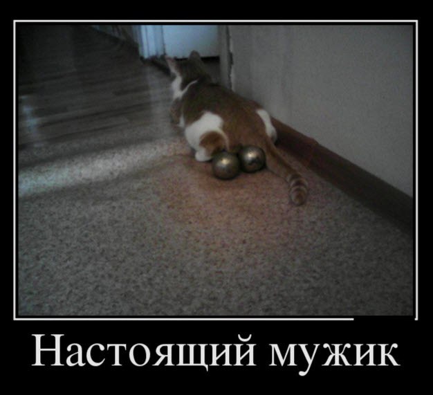  - 29  2015  21:45