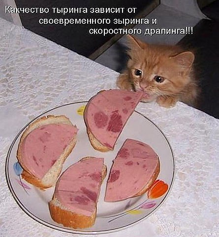 ����� �������� - 25 �������� 2015 � 18:34