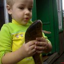 ���� ����, �����������, 64 ���� - ��������� 30 ������ 2016 � ������ ���� ����������