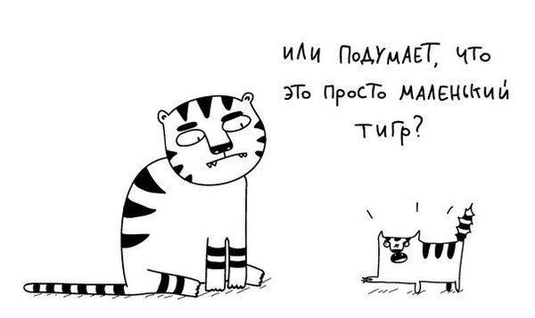  - 17  2016  16:25 - 2