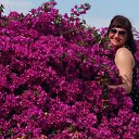 ���� �����, ���������, 54 ���� - ��������� 20 ������� 2016 � ������ ���� ����������