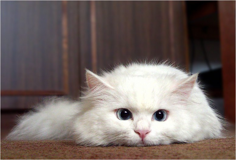   :3