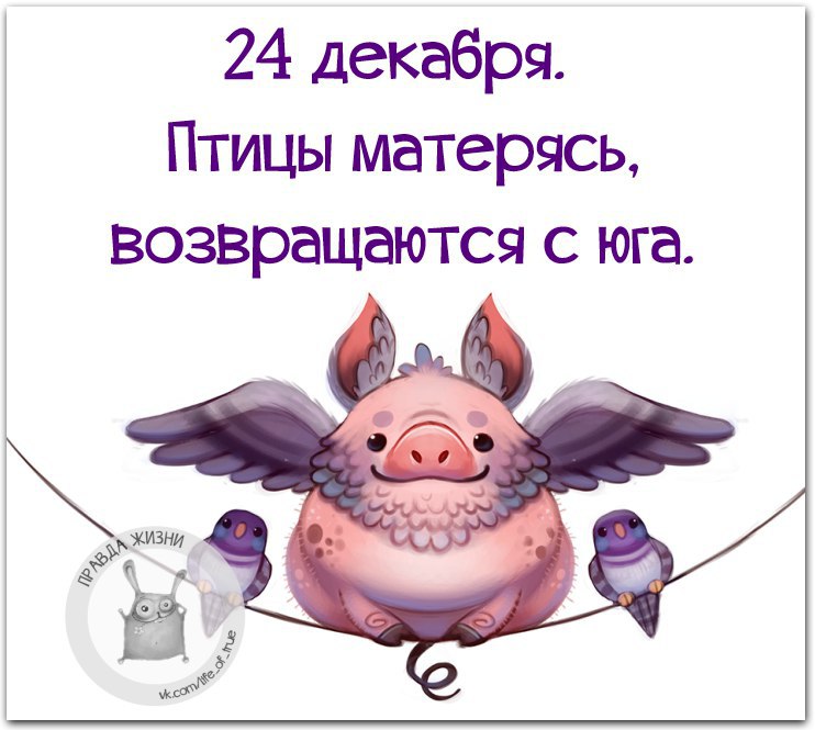   - 24  2015  12:17