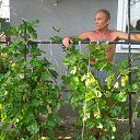 ���� 2015��� �� ������� ���� ����������