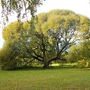 ���� ����, �����-���������, 57 ��� - ��������� 3 ������� 2015 � ������ ��������