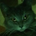 ���� �������, ��������, 46 ��� - ��������� 29 ������� 2016 � ������ ���� ����������