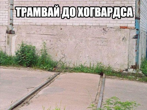  - 28  2016  17:53