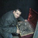 ���� �����, ������, 106 ��� - ��������� 26 ������� 2016