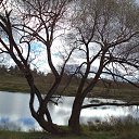 ���� �����, �������, 71 ��� - ��������� 22 ������� 2015 � ������ ���� ����������