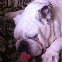 ���� ������, ���������, 62 ���� - ��������� 10 ������ 2016