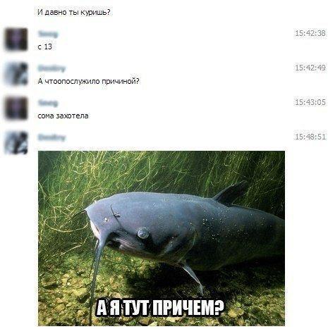     - 6  2015  23:20