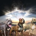 ���� �����, ������ - ��������� 4 ������� 2015 � ������ ������ ��������