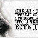 ���� ��������, ���������� - ��������� 15 ������� 2015 � ������ ������Ż