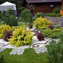 ���� �����, ������������, 55 ��� - ��������� 24 ������� 2015 � ������ �������� ������