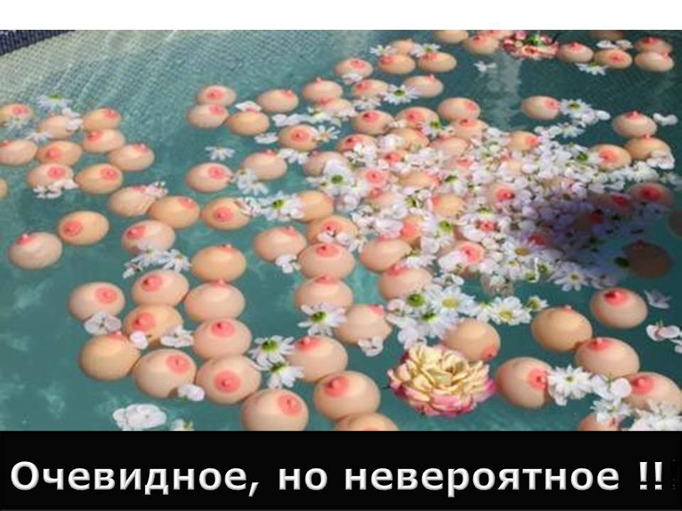   - 20  2015  13:46