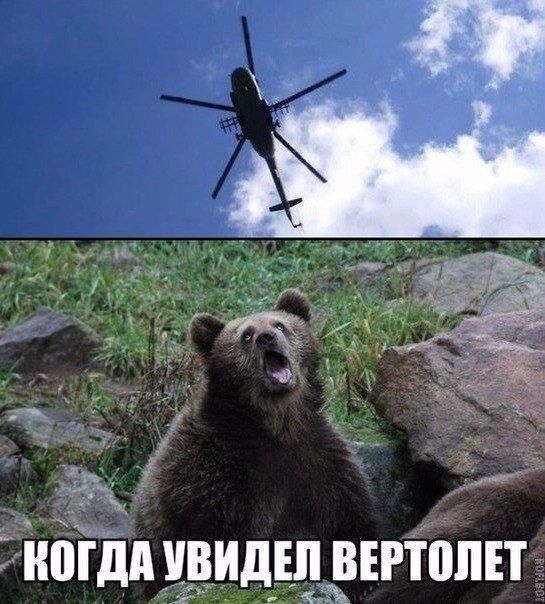    :D - 4  2016  21:07