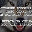 ���� �������, ���������, 47 ��� - ��������� 1 ������ 2016 � ������ ������ ��������