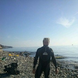 ���� ������, ���������, 49 ��� - ��������� 18 ������� 2016