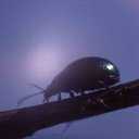 ���� �������, �����, 61 ��� - ��������� 7 ������ 2016 � ������ ������ ��������