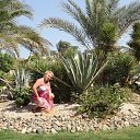 ���� �������, ������� - ��������� 20 ������� 2015 � ������ ���� ����������