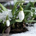 ���� ��������, ������ - ��������� 1 ����� 2016 � ������ �������� ��������