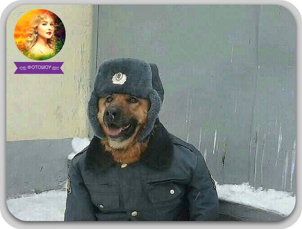 ��������� ���� ����...)))