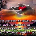 ���� ������, �����-���������, 58 ��� - ��������� 23 ������� 2016 � ������ ������ ��������