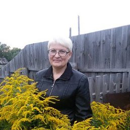 ���� ������, ��������, 51 ��� - ��������� 10 ������� 2015