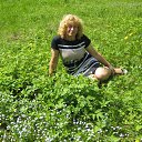 ���� �������, �������������� - ��������� 4 ������ 2015 � ������ ���� ����������