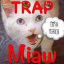 ���� �������, ������, 44 ���� - ��������� 5 ������� 2015 � ������ ������ ��������