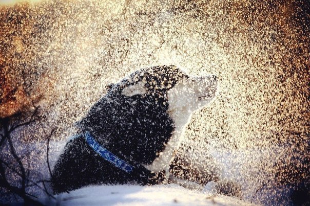 Art & Fun - 3  2015  19:15