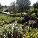 ���� ���������, ������������, 84 ���� - ��������� 8 ������� 2015 � ������ ���� ����������