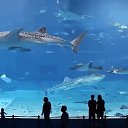 ���� Dima, ������� - ��������� 27 ������� 2016 � ������ ������