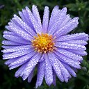 ������� 2015 �� ������� �����ܻ