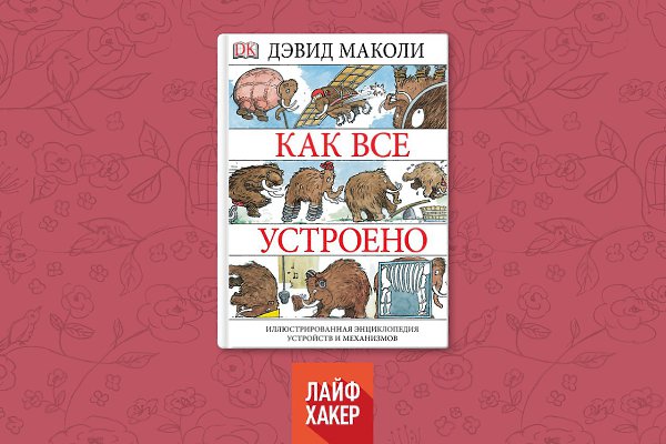 Как все устроено Дэвид Маколи. Как все устроено Маколи.