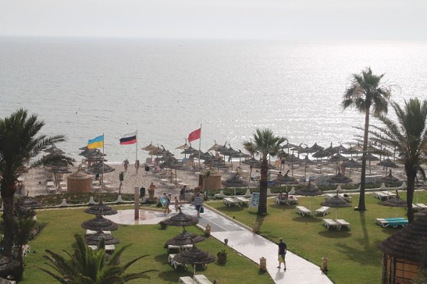 �����, Novostar Palmyra 3*, 2014 - 3