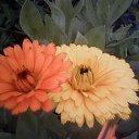 ���� ��������, ������� ��������, 68 ��� - ��������� 20 ������� 2016 � ������ ���� ����������