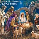  Garik, , 54  -  8  2016    