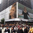 ���� �����, ��������� - ��������� 14 ������� 2016 � ������ ���� ����������